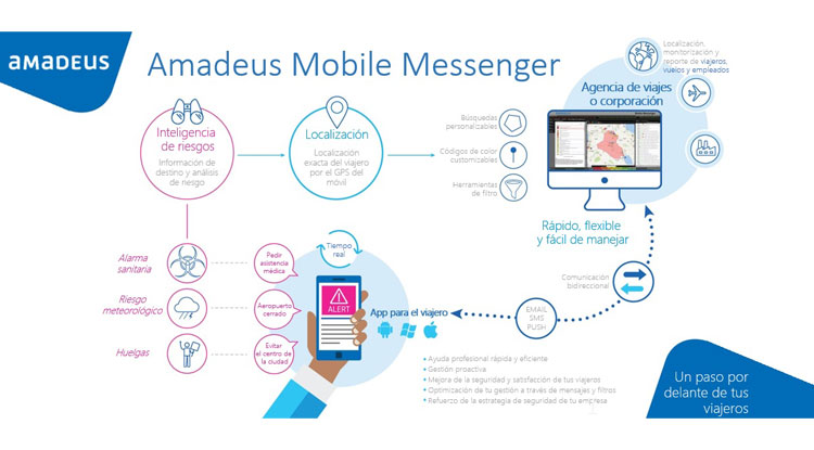 amm-infographic.jpg